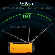 Docooler A12 Waterproof IPX5 Wireless Bluetooth Outdoor Speaker with Power Bank Flashlight FM MP3 USB AUX-IN Hands-free... N5
