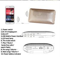 Deli Power Bank/Bluetooth Speaker - with Multifunction 5-in-1 Portable Hands-free Bluetooth Speaker+3000mAh Power... N6