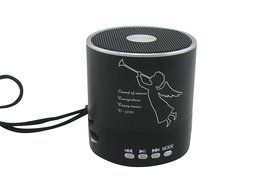 Portable Mini Speaker System with Auxiliary AUX Port FM Radio Micro SD TF Card Slot USB Port Rechargeable Battery...