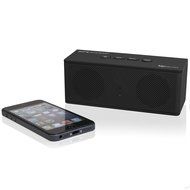 Pure Acoustics HipBox-mini Portable Bluetooth Companion Speaker with Aux + FM Radio and Phone Call Handling -... N9