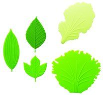 Silicone Microwavable Reusable Bento Baran Lettuce Leaf Sheet