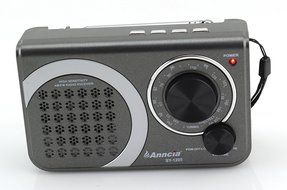 Anncia New Portable FM/AM radio Speaker with Micro TF card and USB flash driver MP3 player. (1205 Grey) N2