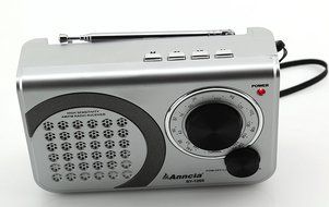 Anncia New Portable FM/AM radio Speaker with Micro TF card and USB flash driver MP3 player. (1205 Grey) N9