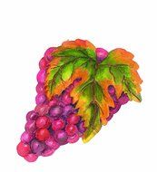 EuroQuest Imports Deco Grape Cluster Parchment Leaves, Package of 20 N2