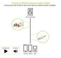 BlueRigger 3.5mm to RCA (2) Stereo Audio Cable (8 Feet)