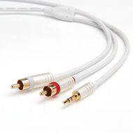 BlueRigger 3.5mm to RCA (2) Stereo Audio Cable (8 Feet) N3