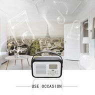 ASAE Bluetooth Speaker, Portable Wireless Speaker Leather Belt Handle Built-in Microphone for Handfree Phone Call... N4