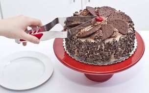 Mrs. Fields Bakeware Slice N Easy Stainless Steel Square Cake Cutter, Silver N5
