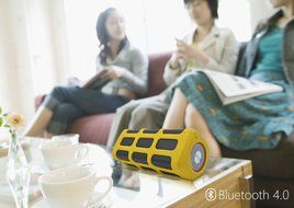 Elala Bluetooth Speaker, Portable Wireless Speaker with Built-in 7000mAh Power Bank, Mic, Enhanced Bass, Waterproof... N11
