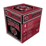 Wiseways Kube Bluetooth Collegiate Speaker for South Carolina school N2