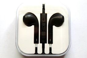Apple EarPods with Remote and Mic (Certified Refurbished) N3