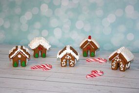 Petite Gingerbread House Hugger Cutter N4