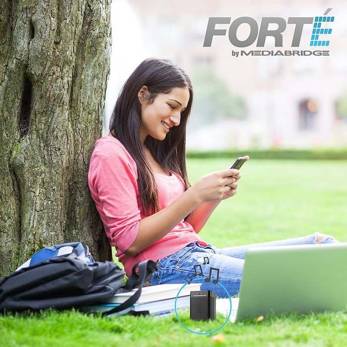 Mediabridge Forte Portable Bluetooth Speaker with Powered Rear-Firing Subwoofer - Wireless Speaker with Rechargeable... N7