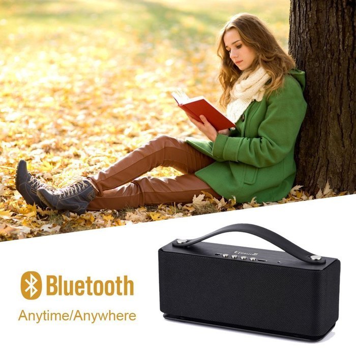 Efsound Handheld Portable Wireless Bluetooth Speaker Aluminum Enclosure Built in Microphone and Hands-Free with... N6