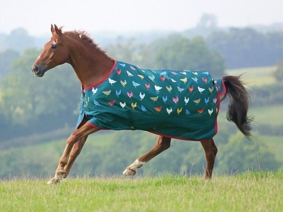 Shires Tempest Original Lite Fox Print Sheet 75 N3