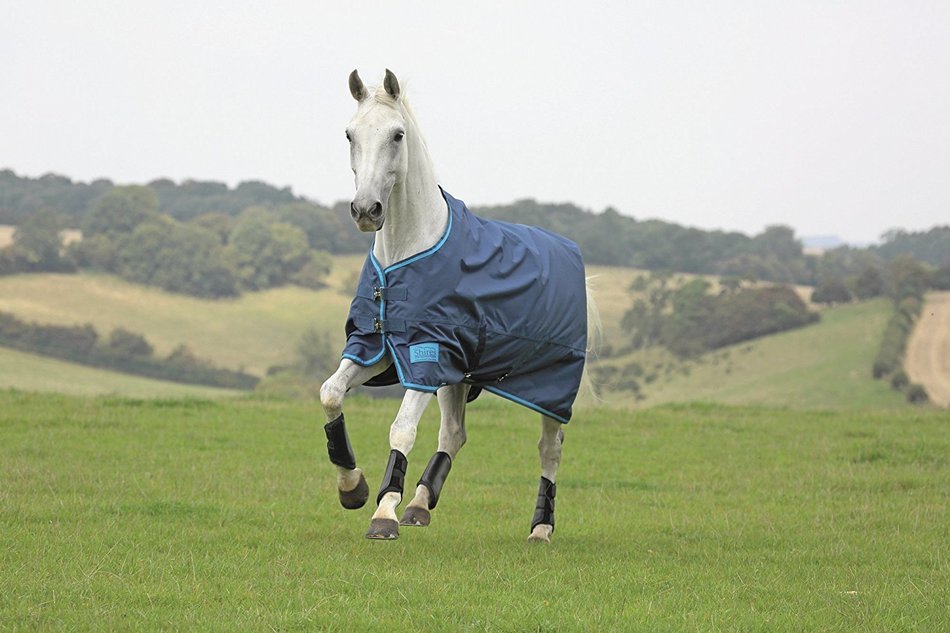 Shires Tempest Original Lite Fox Print Sheet 75 N4