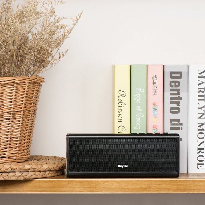 Haynie PN-19 20W Wireless Aluminum-Alloy Bluetooth Speaker With Strong Bass, High Fidelity Sound And Power Bank... N2