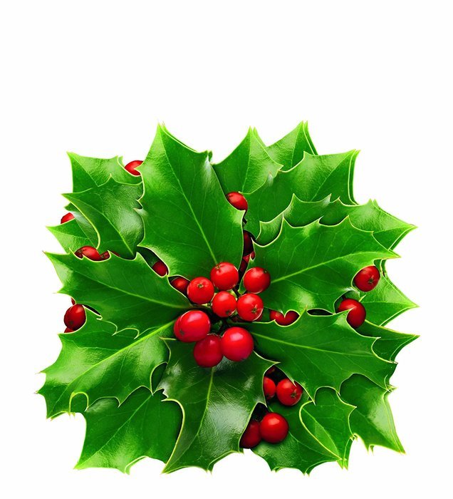 EuroQuest Imports Holly Parchment Leaves, Set of 20 N2