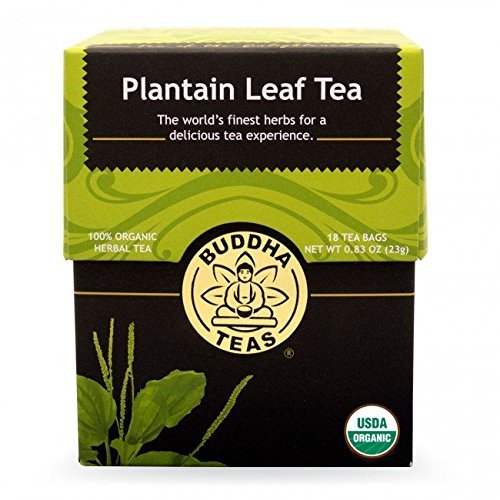 Plantain Leaf Tea - Organic Herbs - 18 Bleach Free Tea Bags
