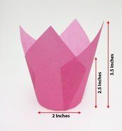 Katgely Pink Tulip Cupcake Liner Medium Height 2.5 to 3.5 Inches Tall (Pack of 200) N2