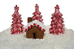 Gingerbread House Hugger Cutter N4