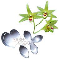 Anyana 3pcs/set Metal Cookie Cutters of the Pygmy Waterlily Ranunculus Cockscomb Flower Fondant Stainless Steel... N4