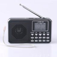 Ohala Mini Portable Am/Fm Radio Digital MP3 Music Player Support Micro SD/TF Card USB Disk