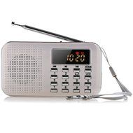 Ohala Mini Portable Am/Fm Radio Digital MP3 Music Player Support Micro SD/TF Card USB Disk N45