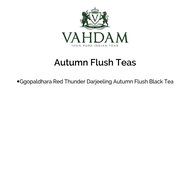 10 Exotic Darjeeling,​ Premium Tea Sampler​ - Includes ​Exotic 2016 Harvest Loose Leaf Teas,First Flush, Second... N6