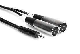 Hosa CYX-403M 3.5 mm TRS to Dual XLR3M Stereo Breakout Cable, 9.8 feet