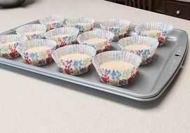 PartiFun Paw Print Cupcake Premium Paper Cupcake Liners (32 count), No Muffin Pan Needed N3