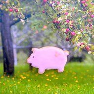 Small Pig Cookie Cutter- Stainless Steel N4