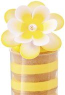 Wilton Minnie Mouse/Daisy Duck Cupcake Fun Pix, 24 Count N22