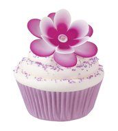 Wilton Minnie Mouse/Daisy Duck Cupcake Fun Pix, 24 Count N23