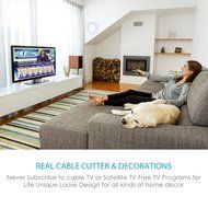 Pictek Indoor HDTV Digital TV Antenna with Integrated Amplifier, 1dbi Enhanced for Signal Reception, 50 Miles... N2