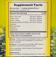 Wings Tea - Green Tea with Ginger, Cinnamon &amp; Cardamom - 2 Pack - 20 Count Bags - Herbal Green Tea - Spicy Green... N3
