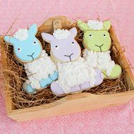 Sweet Elite Tools- Mix and Match Animal Cookie Cutter Set- by Autumn Carpenter N6
