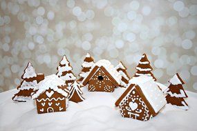 Mini Gingerbread House Village Cutters N2