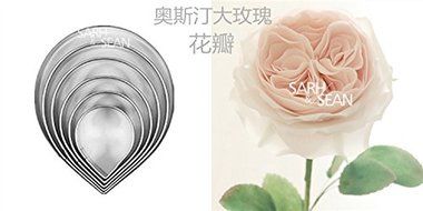 Anyana 11pcs/set Metal cookie cutters set big rose flower stainless steel tools Home Furnishing products kitchen... N2