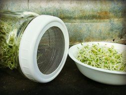 Sprouting Lid for Mason Jars &#039;The Original Speed Strainer Lid&#039;&reg; (Set of 8 Wide Mouth Lids) for Sprouts, Sprouting... N3