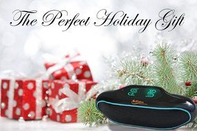 iFox IFS309 Wireless Portable Bluetooth Speaker for iPhone iPad Android or Computer with FM Radio, AUX, USB, SD... N2