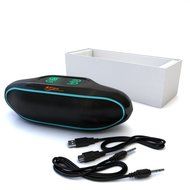 iFox IFS309 Wireless Portable Bluetooth Speaker for iPhone iPad Android or Computer with FM Radio, AUX, USB, SD... N4