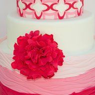 Sweet Elite Tools- Whimsical Peony Peonies Flower Cutter Set of 4 cutters for rolled fondant and gum paste- By... N5