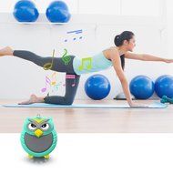 Bluetooth Speaker, Bigwave OWL Design Portable Wireless Mini Speakers with Hands-free Speakerphone Built-in Mic... N5
