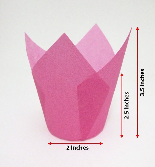 Katgely Pink Tulip Cupcake Liner Medium Height 2.5 to 3.5 Inches Tall (Pack of 200) N2