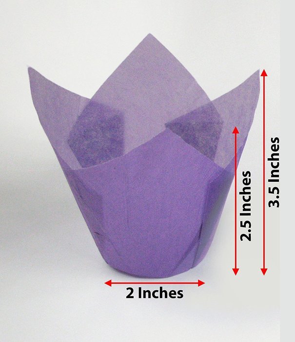 Katgely Pink Tulip Cupcake Liner Medium Height 2.5 to 3.5 Inches Tall (Pack of 200) N4