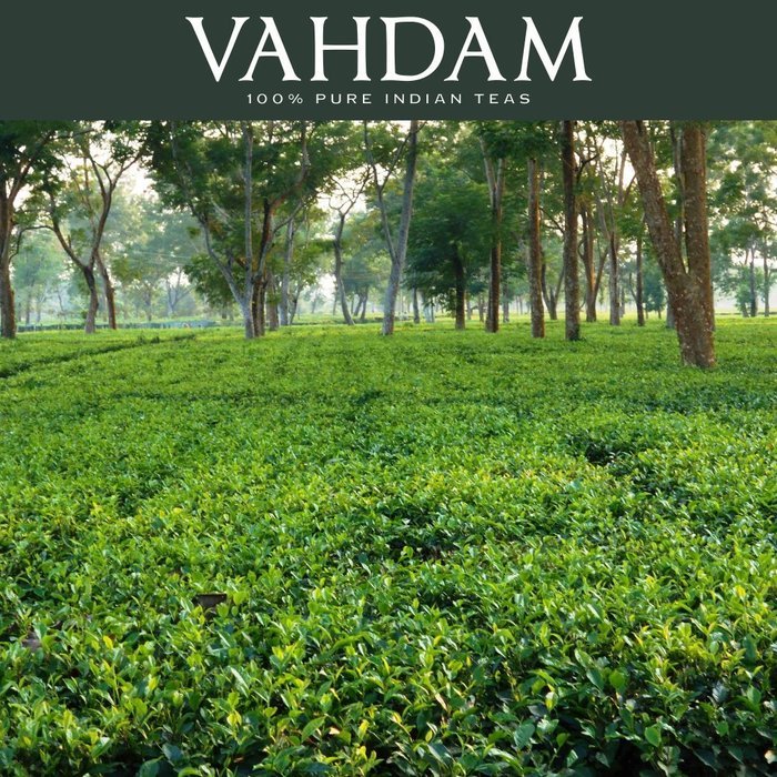 10 Exotic Darjeeling,​ Premium Tea Sampler​ - Includes ​Exotic 2016 Harvest Loose Leaf Teas,First Flush, Second... N62