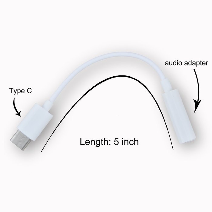 Rancco Type C to 3.5mm Audio Headphone Stereo Adapter Connector, 2 Pcs USB 3.1/ USB C to 3.5mm Audio Microphone... N10