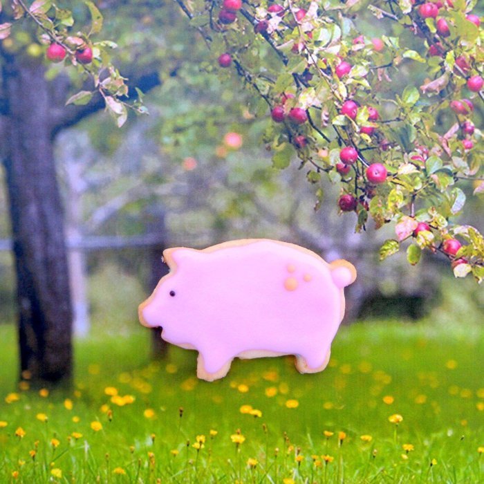 Small Pig Cookie Cutter- Stainless Steel N4