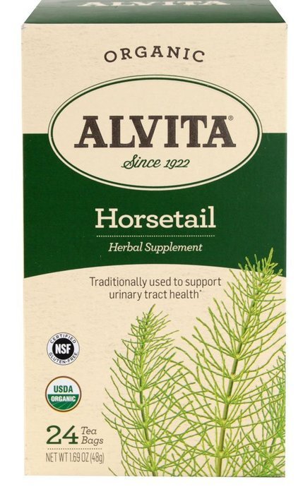 Alvita Organic Tea Horsetail, 24 Count